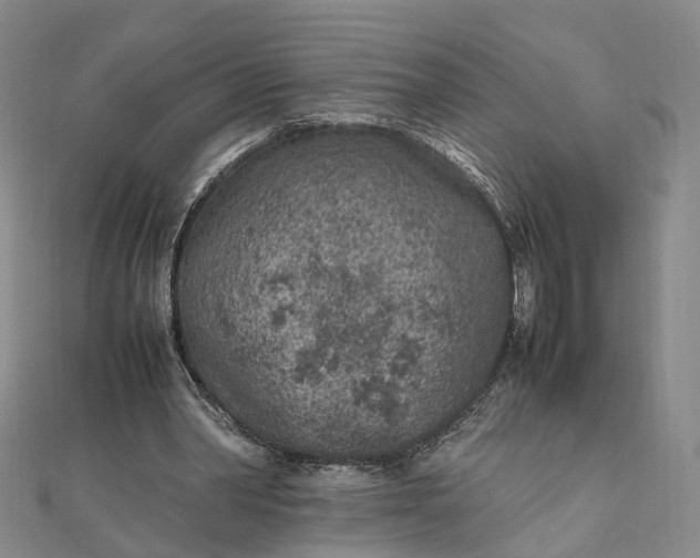 X0000111850390200908061319