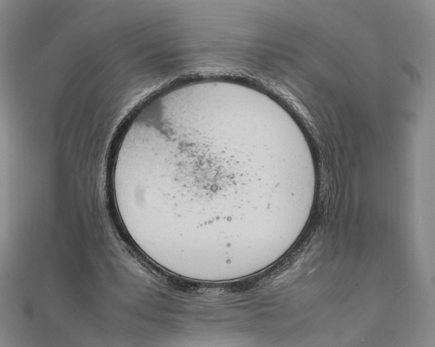 X0000111850391200908061319