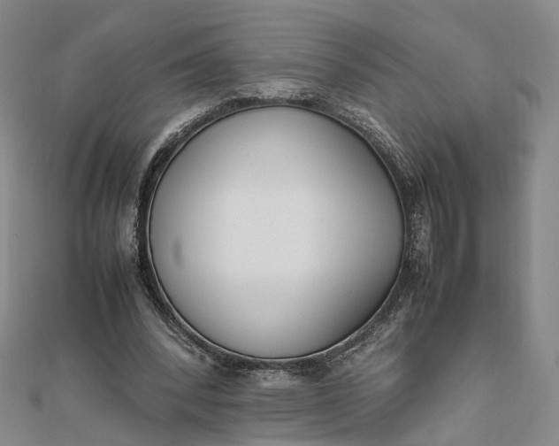 X0000111850392200908061319