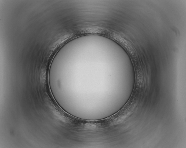 X0000111850394200908061319