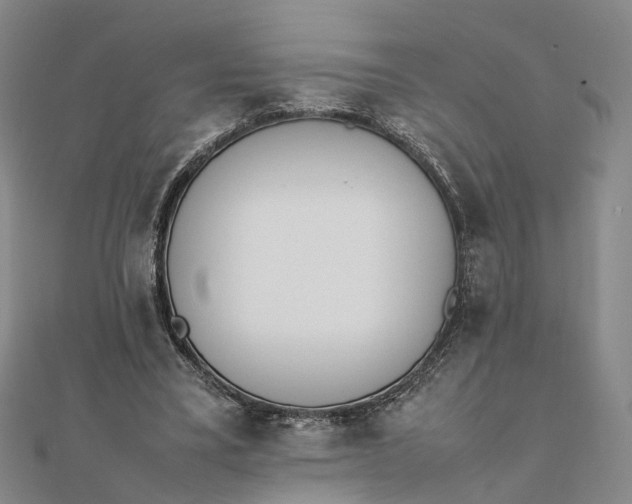 X0000111850395200908061319