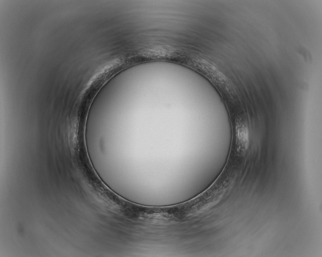 X0000111850396200908061319