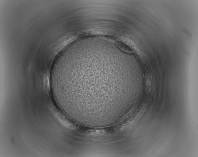 X0000111850398200908061319