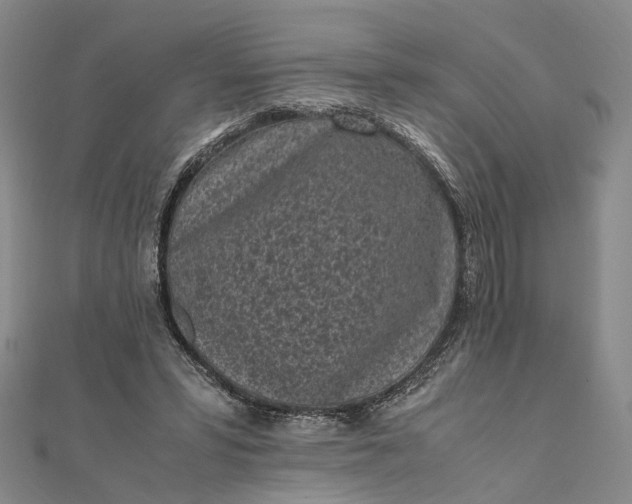 X0000111850399200908061319