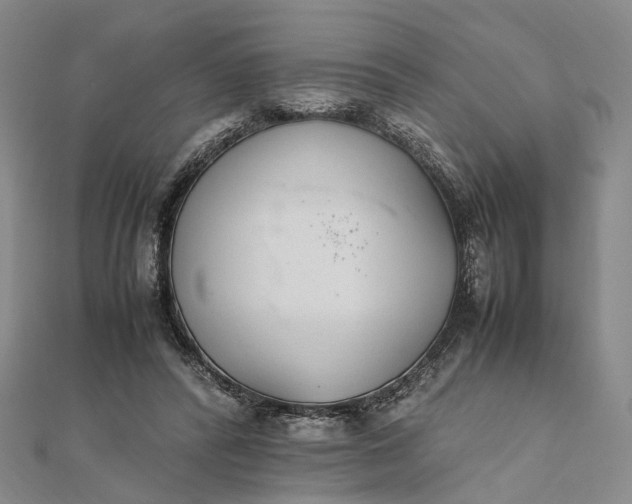 X0000111850400200908061319