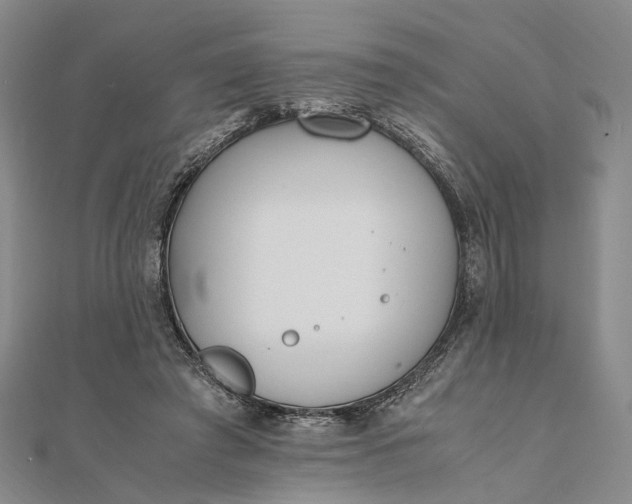 X0000111850401200908061319