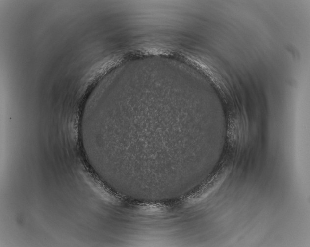 X0000111850402200908061319