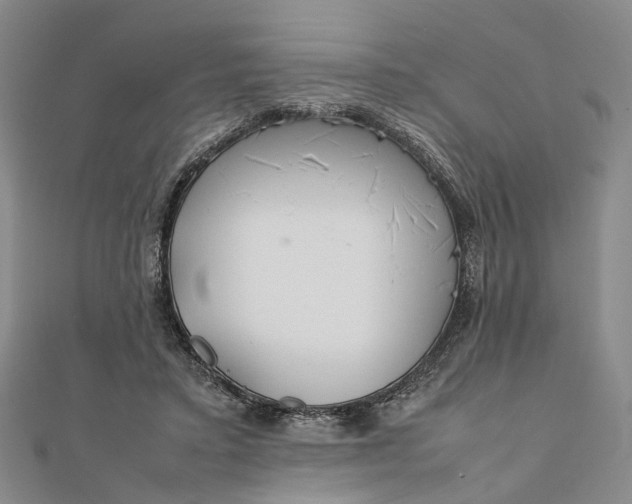 X0000111850403200908061319