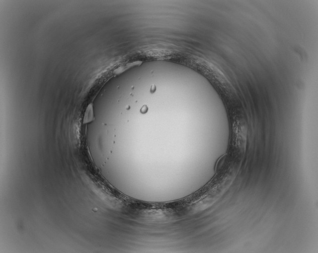 X0000111850404200908061319