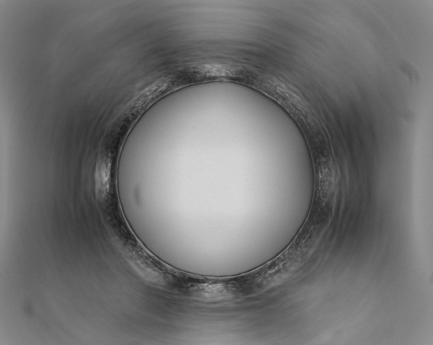 X0000111850406200908061319