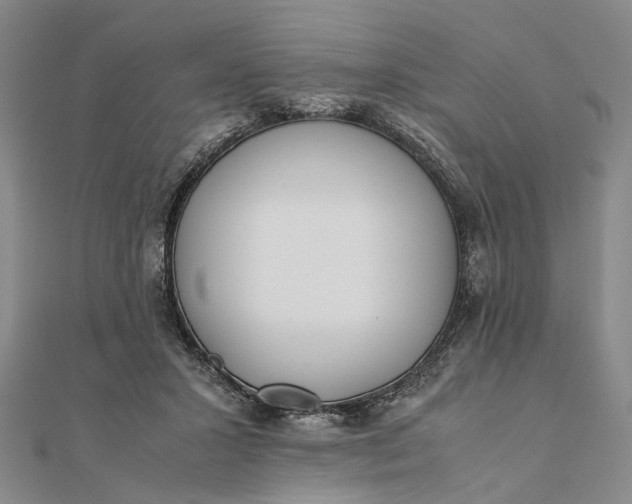 X0000111850407200908061319