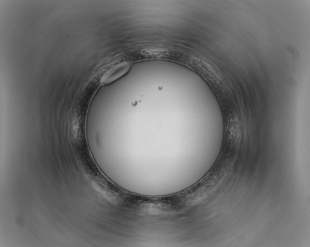 X0000111850408200908061318