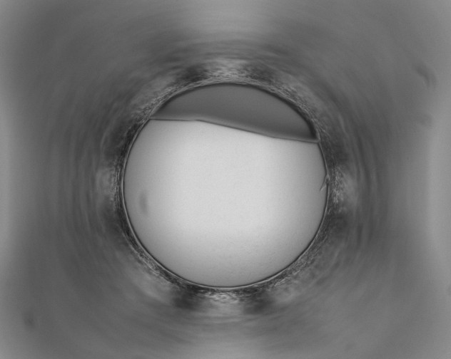 X0000111850409200908061318