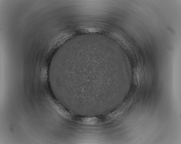 X0000111850410200908061318