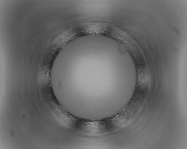 X0000111850411200908061318