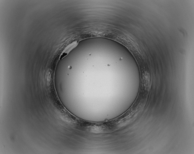 X0000111850412200908061318