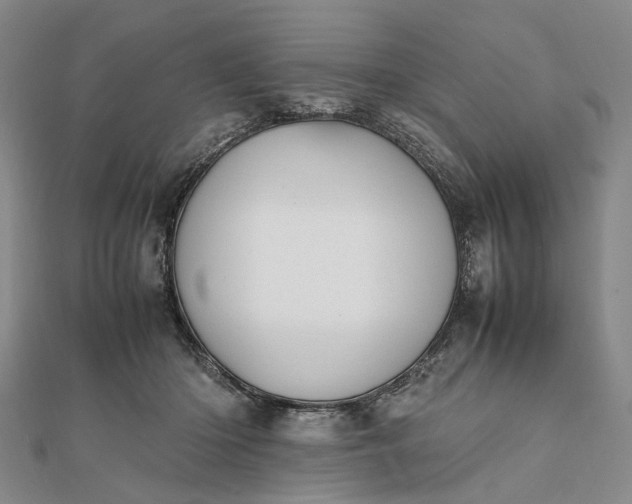 X0000111850414200908061318