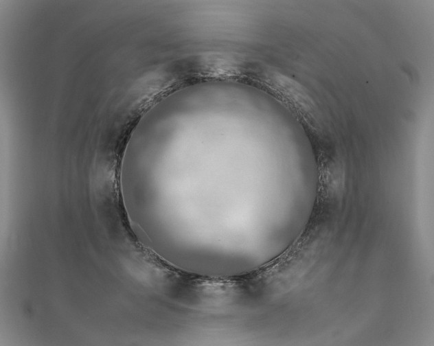 X0000111850415200908061318