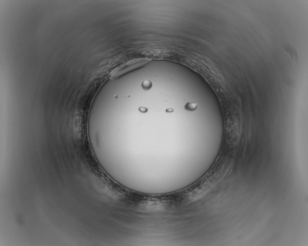 X0000111850416200908061318