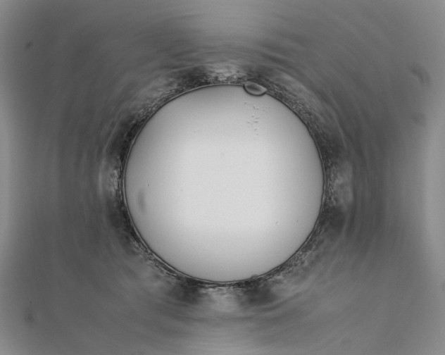 X0000111850417200908061318