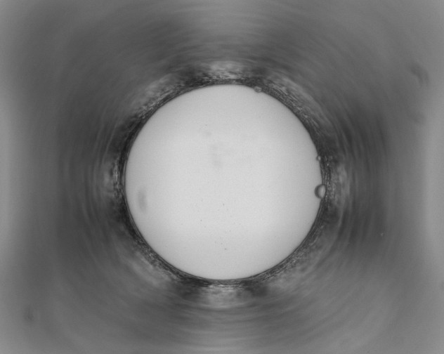 X0000111850418200908061318