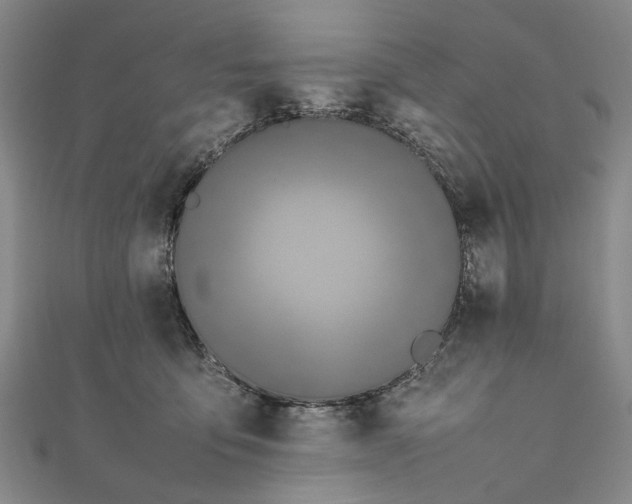 X0000111850419200908061318