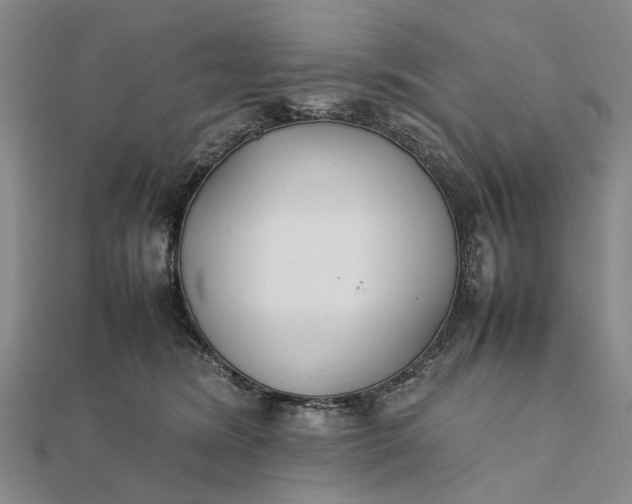 X0000111850420200908061318