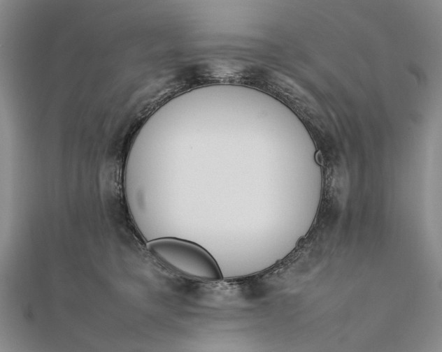 X0000111850421200908061318