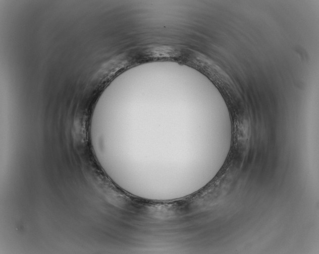 X0000111850422200908061318