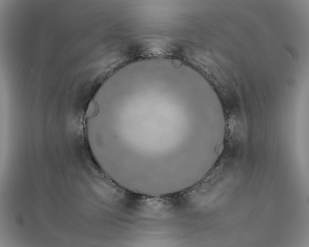 X0000111850423200908061318