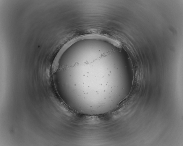 X0000111850424200908061318