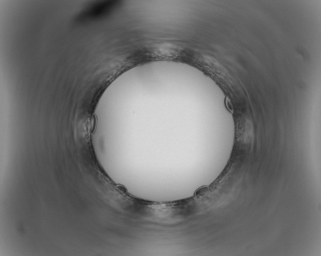 X0000111850425200908061318