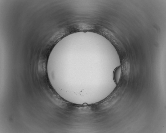 X0000111850426200908061318