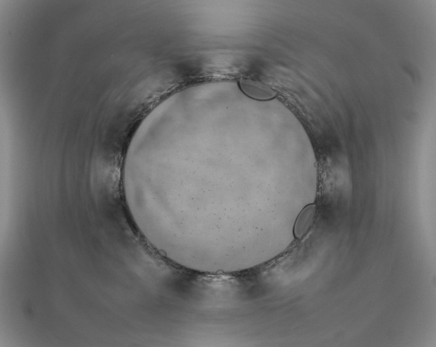 X0000111850427200908061318