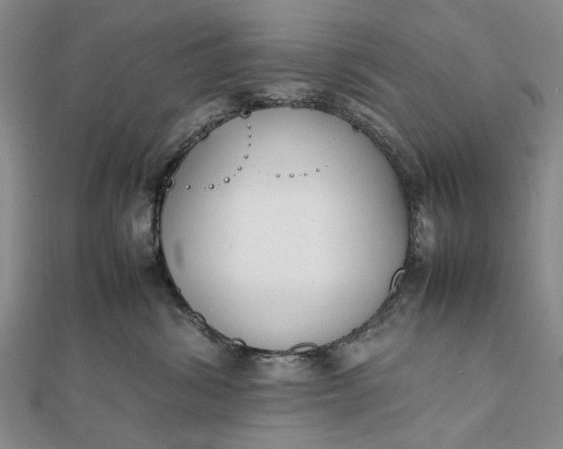 X0000111850428200908061318