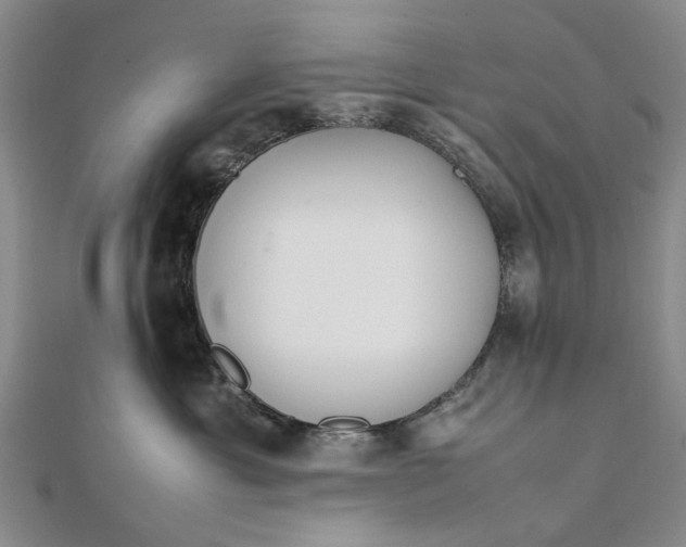 X0000111850429200908061318