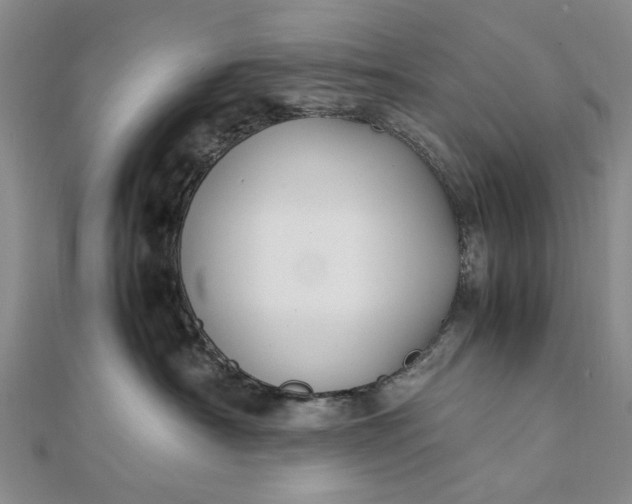 X0000111850430200908061318