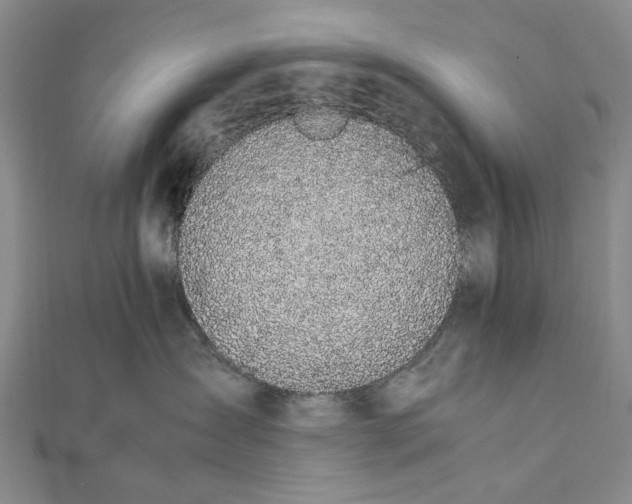 X0000111850431200908061318