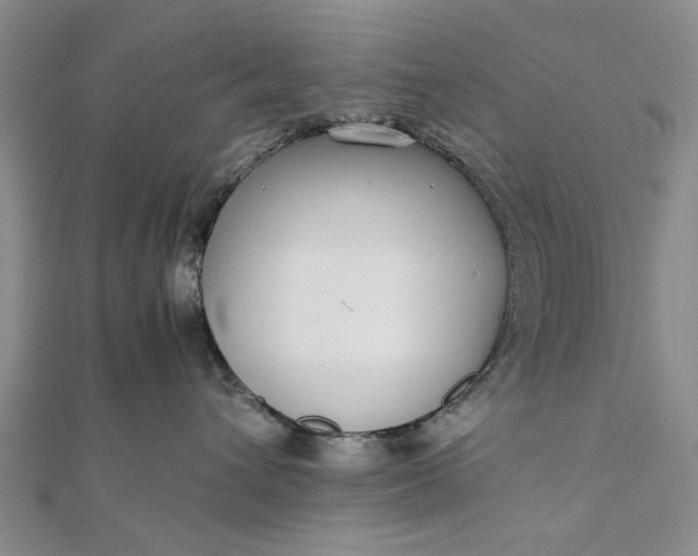 X0000111850432200908061318