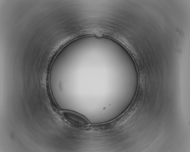 X0000111850434200908061317