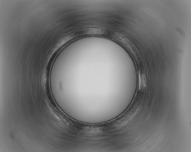 X0000111850435200908061317