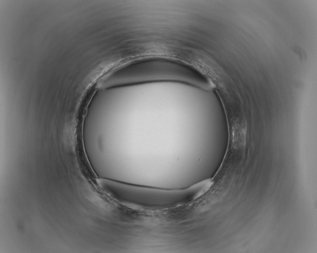 X0000111850436200908061317