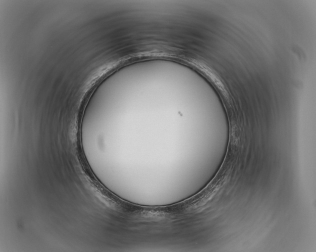 X0000111850437200908061317