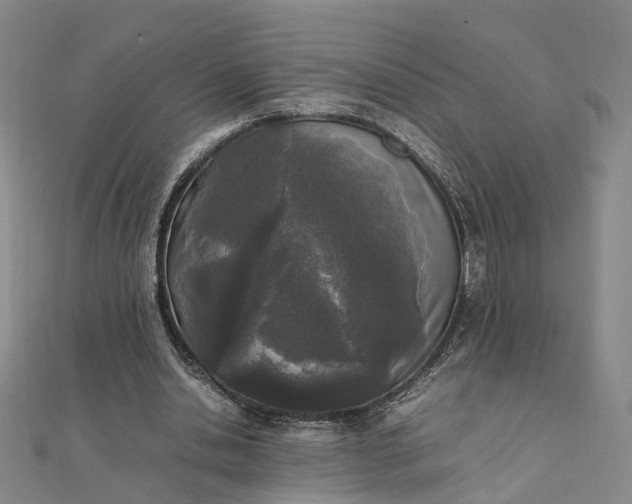 X0000111850438200908061317