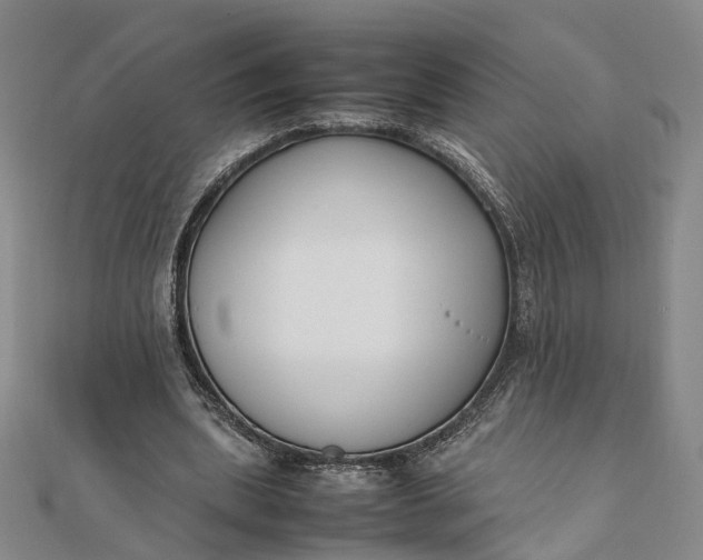 X0000111850439200908061317