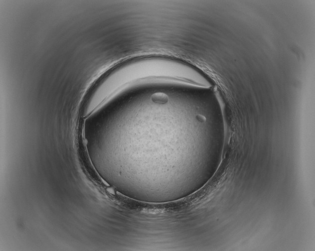 X0000111850440200908061317