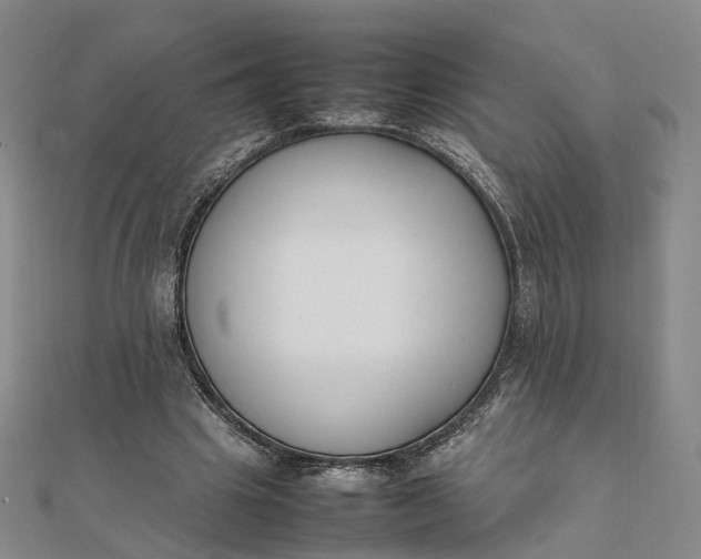 X0000111850441200908061318