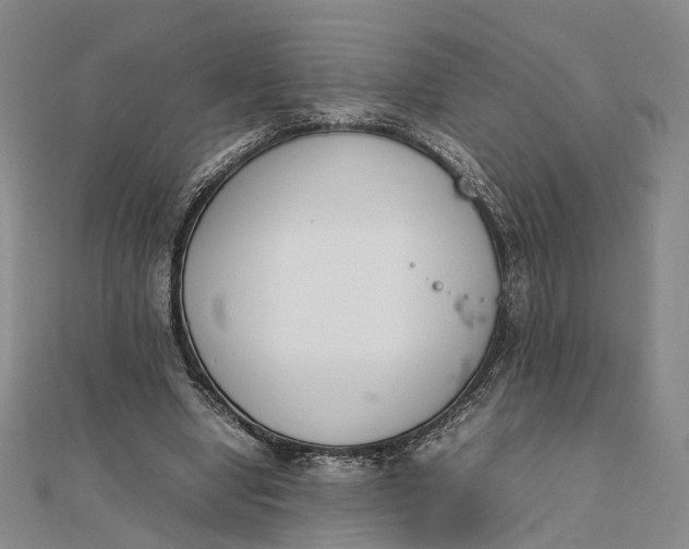 X0000111850442200908061318