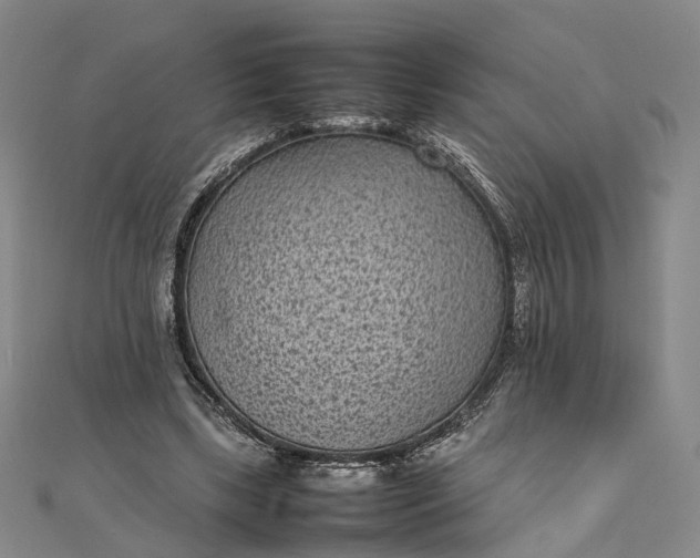 X0000111850443200908061318