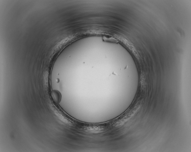 X0000111850445200908061318